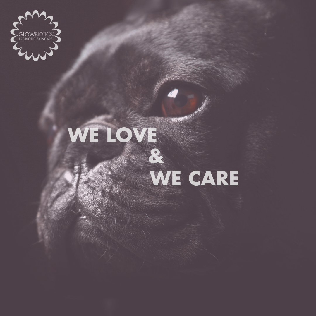 【We Love & We Care】